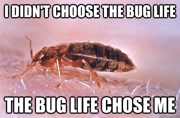 I didn't choose the bug life the bug life chose me  In Bed Bug