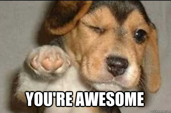  You're Awesome -  You're Awesome  Misc