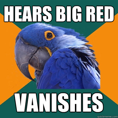 hears big red vanishes  Paranoid Parrot