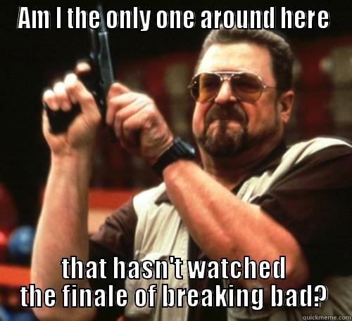 AM I THE ONLY ONE AROUND HERE THAT HASN'T WATCHED THE FINALE OF BREAKING BAD? Am I The Only One Around Here