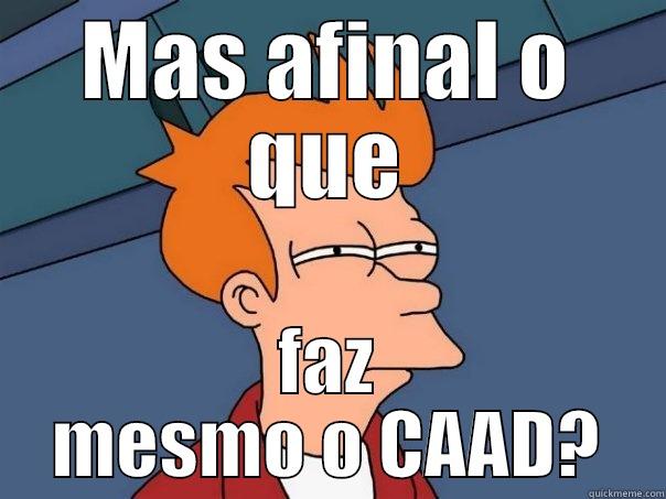 MAS AFINAL O QUE FAZ MESMO O CAAD? Futurama Fry