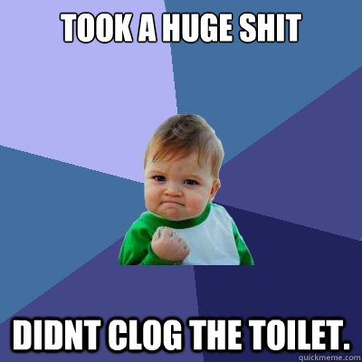 took a huge shit didnt clog the toilet.  Success Kid