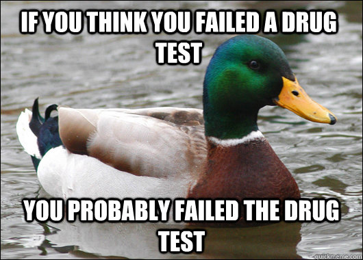 if you think you failed a drug test you probably failed the drug test - if you think you failed a drug test you probably failed the drug test  Actual Advice Mallard