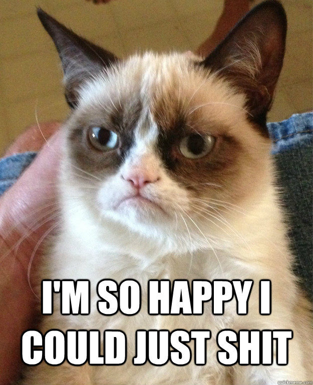  i'm so happy i could just shit -  i'm so happy i could just shit  Grumpy Cat