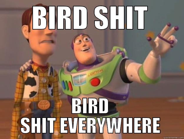 BIRD SHIT BIRD SHIT EVERYWHERE Toy Story