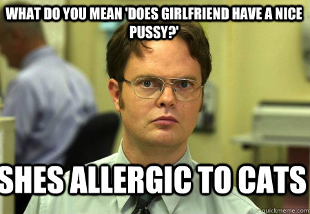 What do you mean 'does girlfriend have a nice pussy?' Shes allergic to cats  Schrute