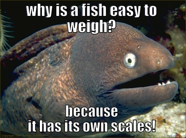 fishy joke - WHY IS A FISH EASY TO WEIGH? BECAUSE IT HAS ITS OWN SCALES! Bad Joke Eel
