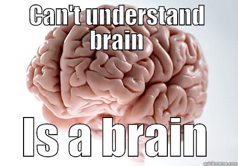 CAN'T UNDERSTAND BRAIN IS A BRAIN Scumbag Brain
