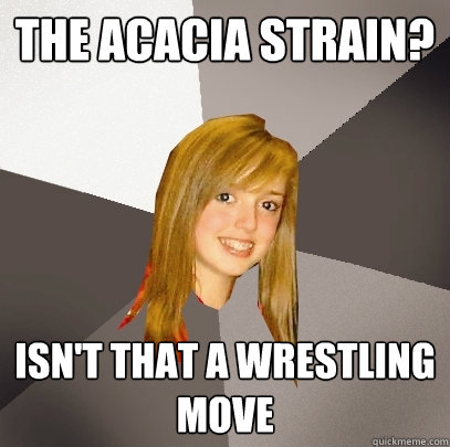 the acacia strain? isn't that a wrestling move   Musically Oblivious 8th Grader