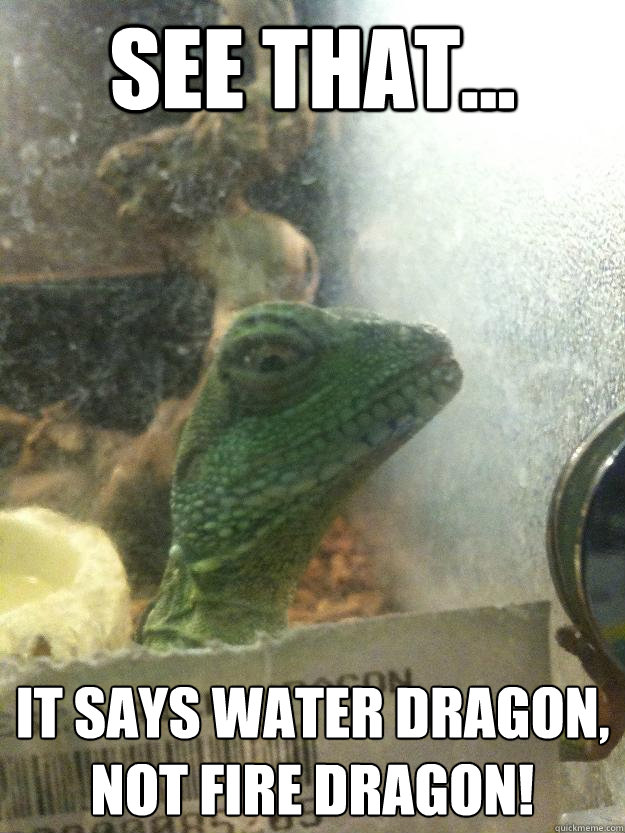 see that... it says water dragon, not fire dragon!  Leery Lizard