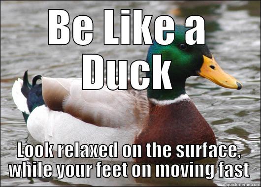 BE LIKE A DUCK LOOK RELAXED ON THE SURFACE, WHILE YOUR FEET ON MOVING FAST Actual Advice Mallard