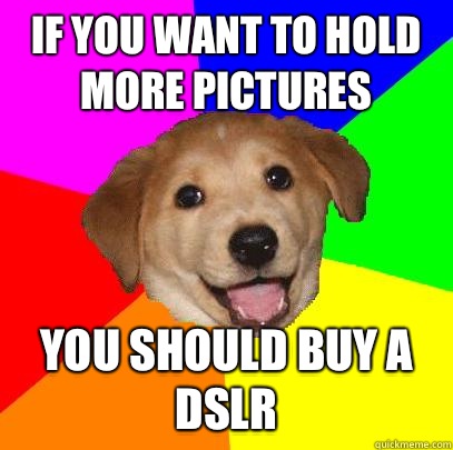 If you want to hold more pictures You should buy a dslr - If you want to hold more pictures You should buy a dslr  Advice Dog
