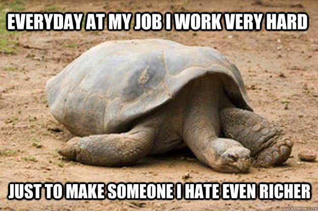 Everyday at my job i work very hard Just to make someone i hate even richer  Depression Turtle