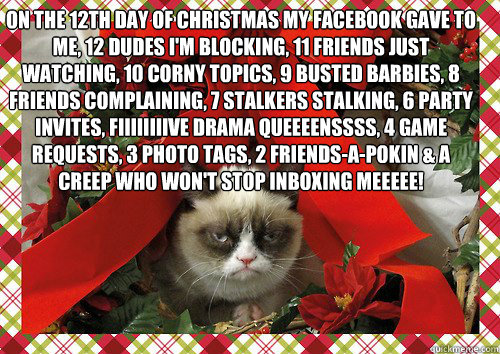 on the 12th day of christmas my facebook gave to me, 12 dudes i'm blocking, 11 friends just watching, 10 corny topics, 9 busted barbies, 8 friends complaining, 7 stalkers stalking, 6 party invites, fiiiiiiiive drama queeeenssss, 4 game requests, 3 photo t  A Grumpy Cat Christmas