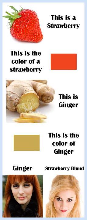 Gingers vs Strawberry Blondes -   Misc