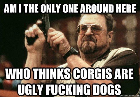 Am I the only one around here Who Thinks Corgis are ugly fucking dogs - Am I the only one around here Who Thinks Corgis are ugly fucking dogs  Am I the only one