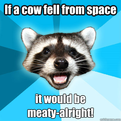 If a cow fell from space it would be
meaty-alright!  Lame Pun Coon