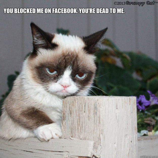 You blocked me on Facebook. You're dead to me. - You blocked me on Facebook. You're dead to me.  IRLBlock