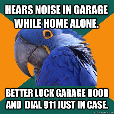 hears noise in garage while home alone. better lock garage door and  dial 911 just in case. - hears noise in garage while home alone. better lock garage door and  dial 911 just in case.  Paranoid Parrot
