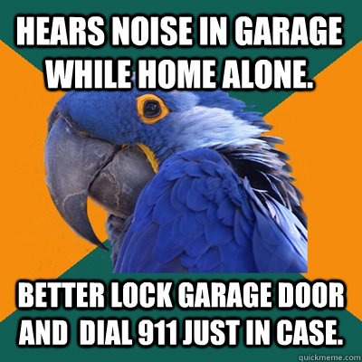 hears noise in garage while home alone. better lock garage door and  dial 911 just in case.  Paranoid Parrot