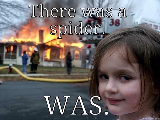 THERE WAS A SPIDER. WAS. Disaster Girl