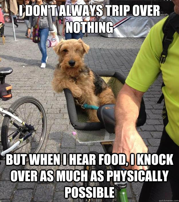 I don't always trip over nothing But when i hear food, i knock over as much as physically possible  The Most Interesting Dog in the World
