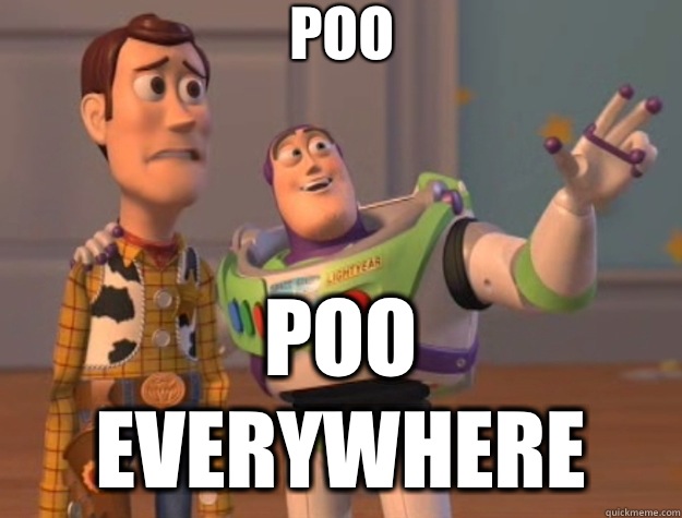 Poo Poo everywhere  Toy Story