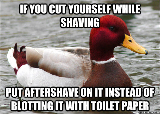 if you cut yourself while shaving put aftershave on it instead of blotting it with toilet paper  Malicious Advice Mallard