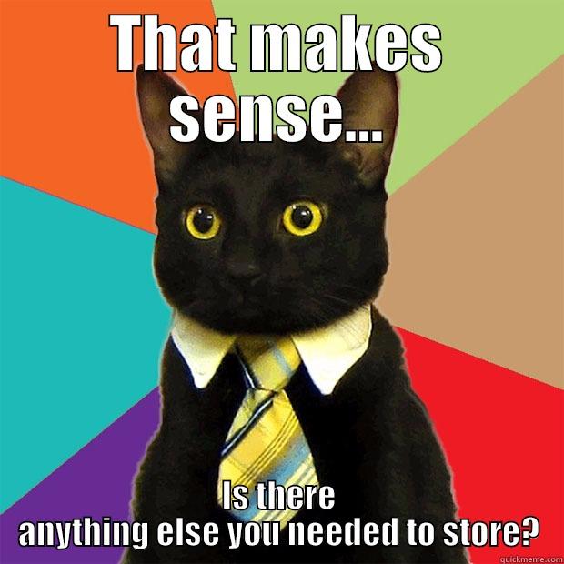 THAT MAKES SENSE... IS THERE ANYTHING ELSE YOU NEEDED TO STORE? Business Cat