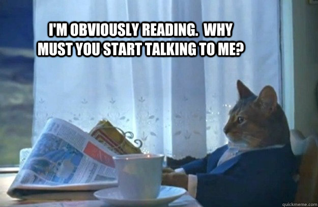 I'm obviously reading.  Why must you start talking to me?  Sophisticated Cat