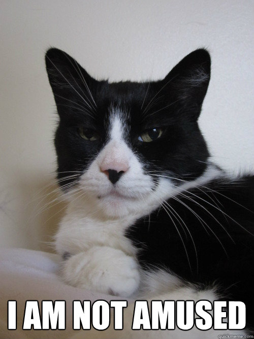  I AM NOT AMUSED -  I AM NOT AMUSED  Romro