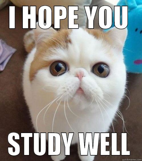 I HOPE YOU STUDY WELL Misc