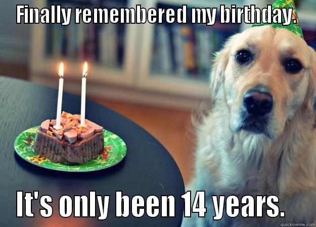 hard luck dog's life - FINALLY REMEMBERED MY BIRTHDAY. IT'S ONLY BEEN 14 YEARS.   Sad Birthday Dog