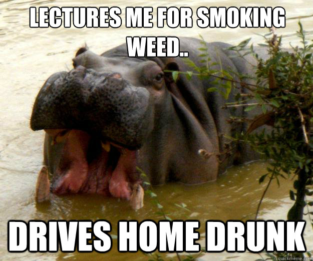 Lectures me for smoking weed.. drives home drunk  Hypocrite Hippo