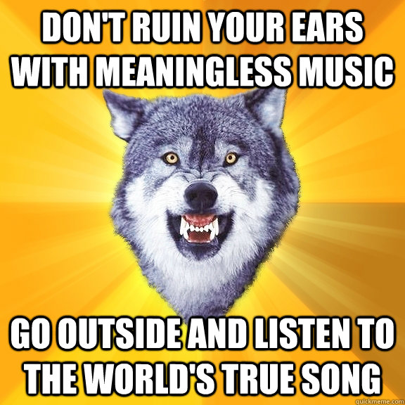 don't ruin your ears with meaningless music GO OUTSIDE AND LISTEN TO THE WORLD'S TRUE SONG  Courage Wolf