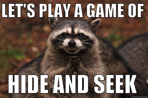 LET'S PLAY A GAME OF  HIDE AND SEEK Evil Plotting Raccoon