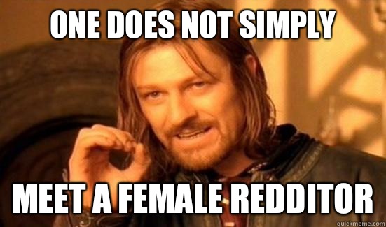 One Does Not Simply Meet A Female Redditor  Boromir