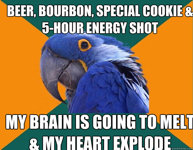 beer, bourbon, special cookie & 5-hour energy shot my brain is going to melt & my heart explode  Paranoid Parrot