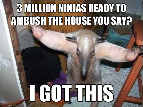 3 million ninjas ready to ambush the house you say? i got this  I got this