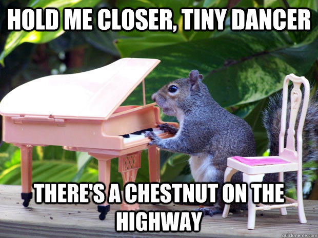 Hold me closer, tiny dancer there's a chestnut on the highway  
