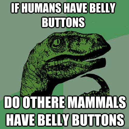 if humans have belly buttons   do othere mammals have belly buttons - if humans have belly buttons   do othere mammals have belly buttons  Philosoraptor