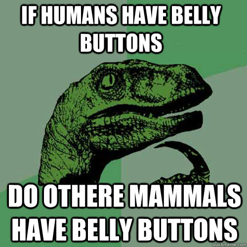 if humans have belly buttons   do othere mammals have belly buttons  Philosoraptor