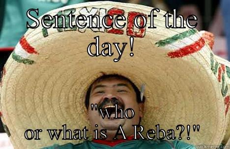 A Reba? - SENTENCE OF THE DAY! 