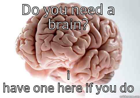 DO YOU NEED A BRAIN? I HAVE ONE HERE IF YOU DO Scumbag Brain