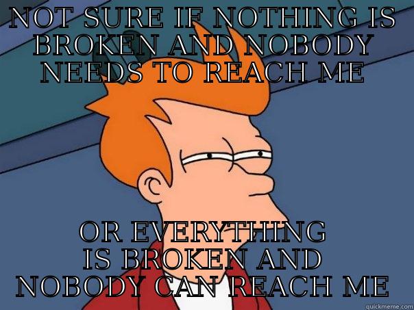 NOT SURE IF NOTHING IS BROKEN AND NOBODY NEEDS TO REACH ME OR EVERYTHING IS BROKEN AND NOBODY CAN REACH ME Futurama Fry