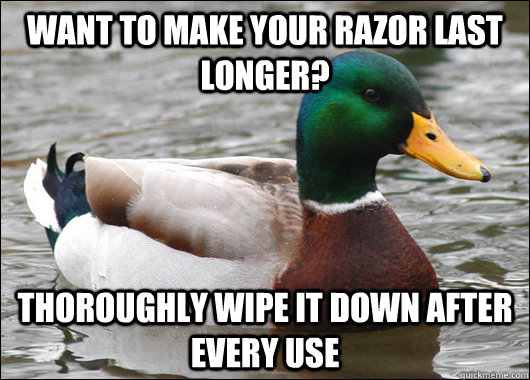 Make Essay Longer