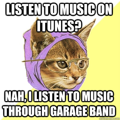 Listen to music on itunes? nah, I listen to music through garage band   Hipster Kitty