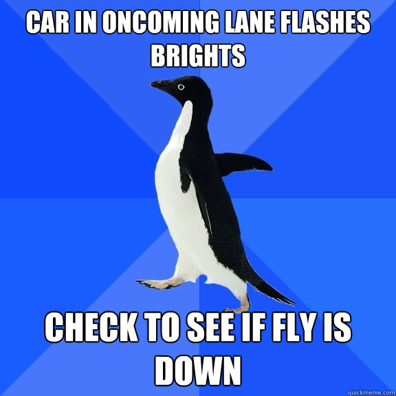 Car in oncoming lane flashes brights Check to see if fly is down  Socially Awkward Penguin