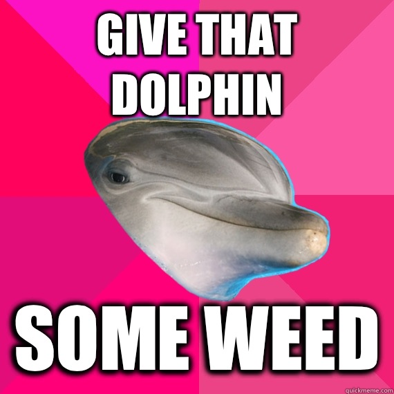 Give that dolphin Some weed  