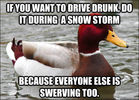 If you want to drive drunk, do it during  a snow storm because everyone else is swerving too.  Malicious Advice Mallard